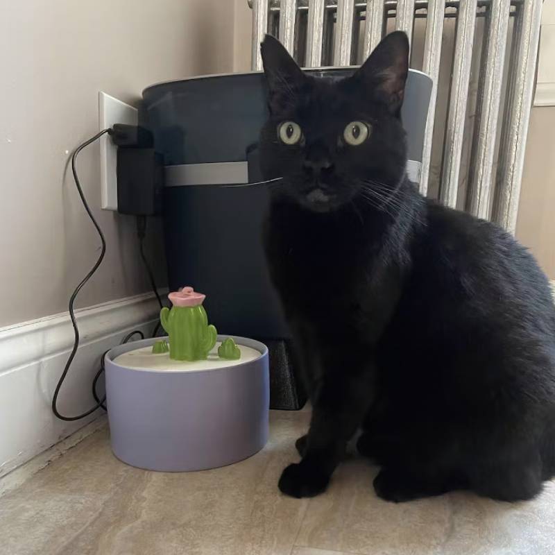 Cactus Shaped Water Fountain