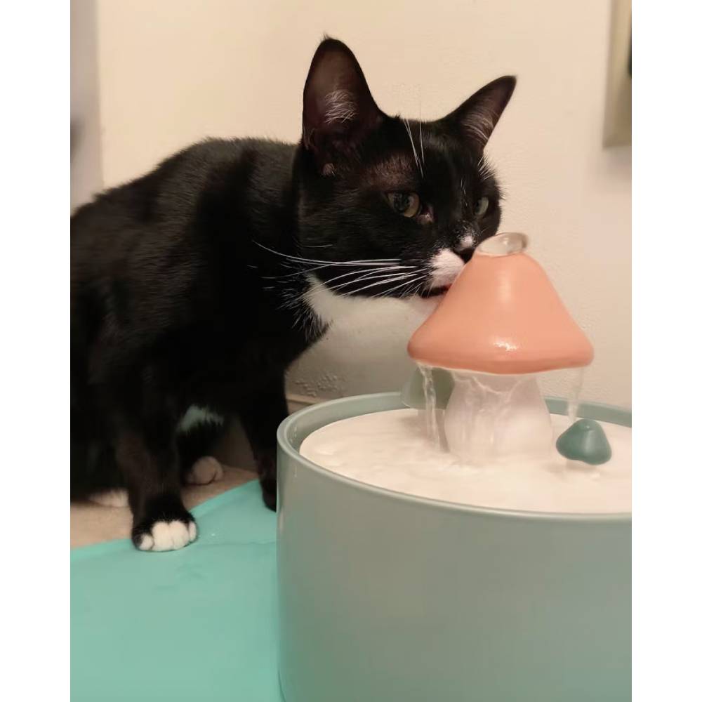 Mushroom Water Fountain for Cats