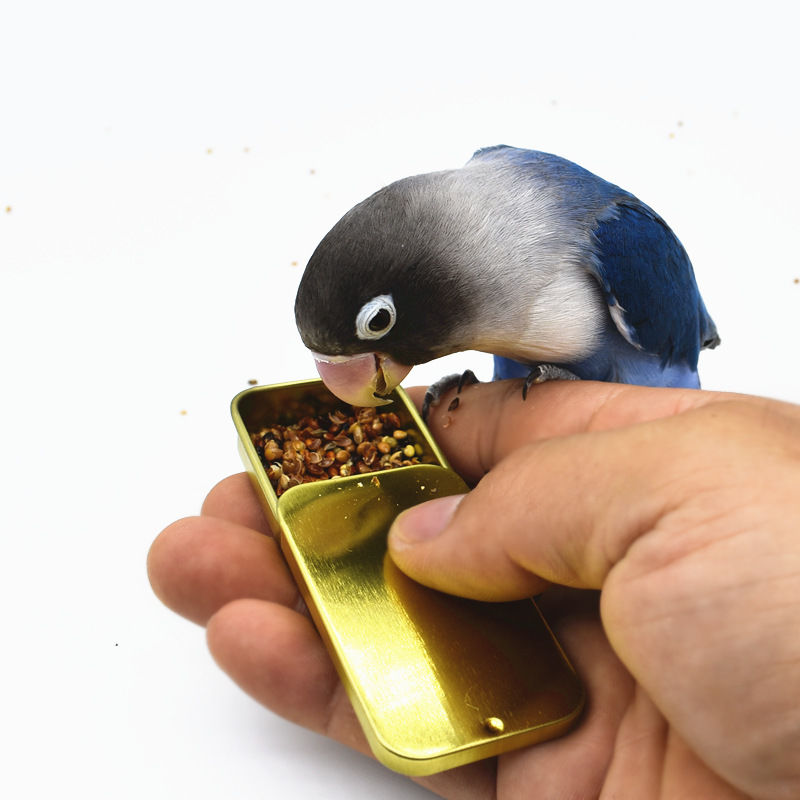 Parrot bird training bird food jar toy food push-pull box tiger skin peony black phoenix starling bird training supplies