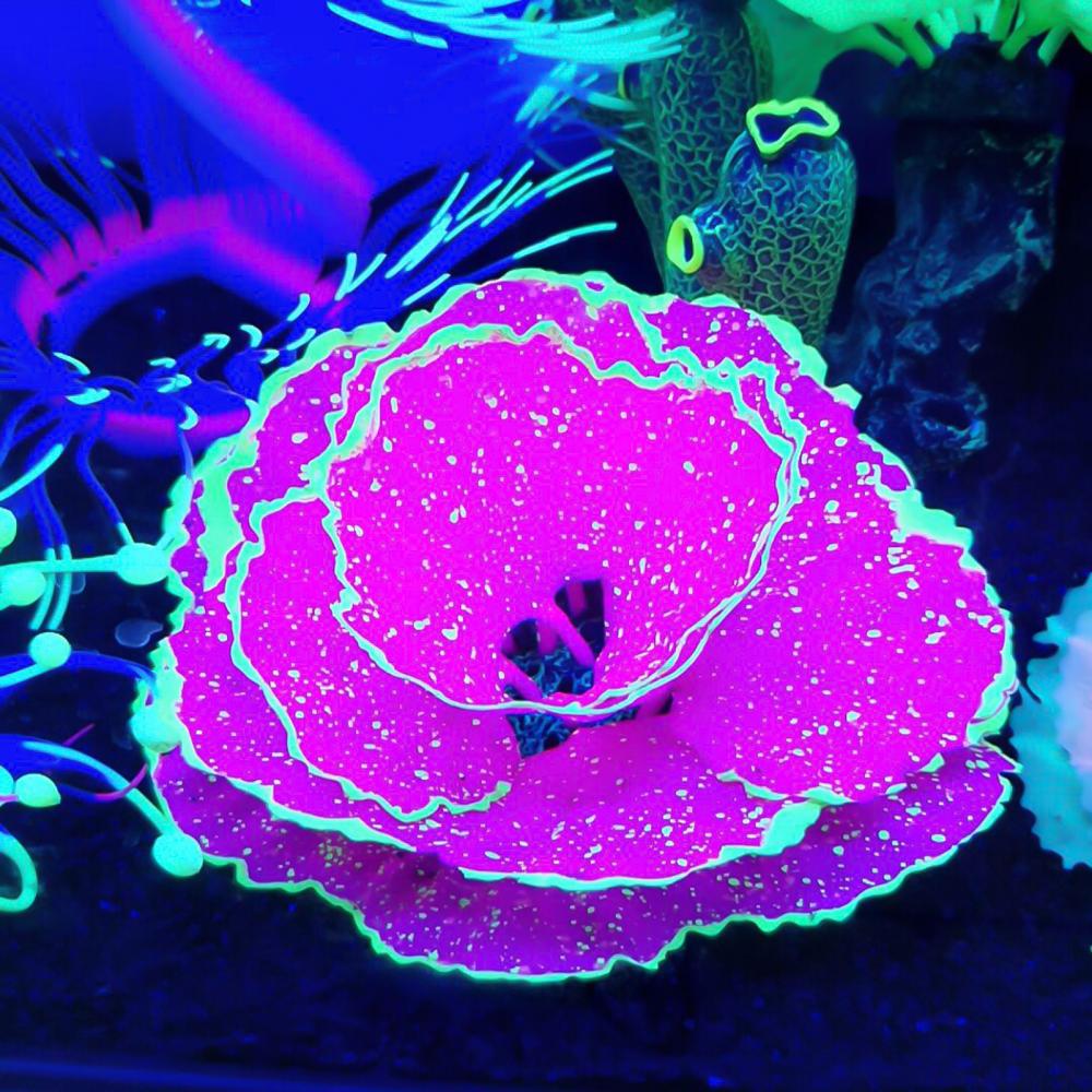 Artificial Plant Good Beautiful Fashion Artificial Aquarium Plants Landscaping Decor Plant Fish Tank Landscaping Decoration Orna