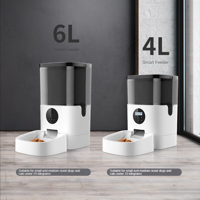 Video Multifunction Fountain With Sensor