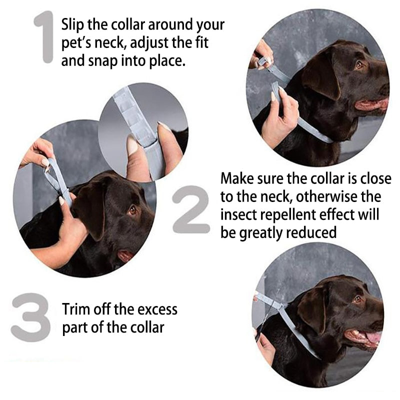 38/62CM Dog Collar Flea Tick Prevention Pet Cat Dog Collar 8 Month Flea and Tick Collar for Small Dog Adjustable Cat Dog Collar