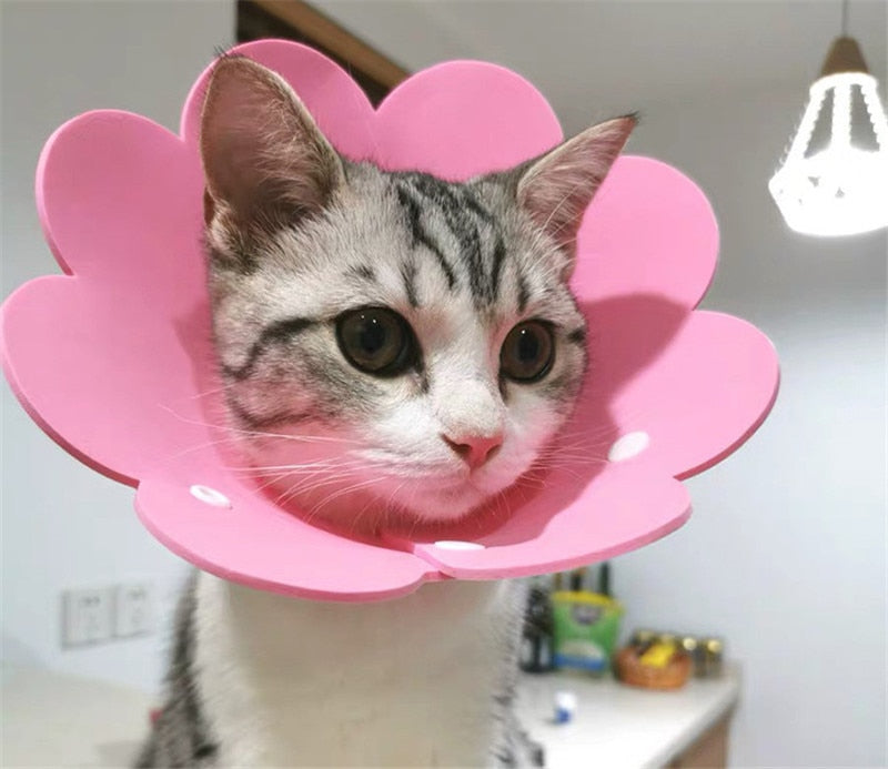 Felt Cat Collar Elizabeth Circle Cat Sun Flower Collar Felt Pet Products Anti-Licking Cat Collar Chihuahua Luxury Dog Collar