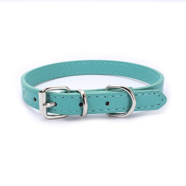 Pet Supplies Dog Collar Alloy Buckle Dog Chain Cat Necklace Size Adjustable for Small and Medium-sized Dog Collars Dog Supplies