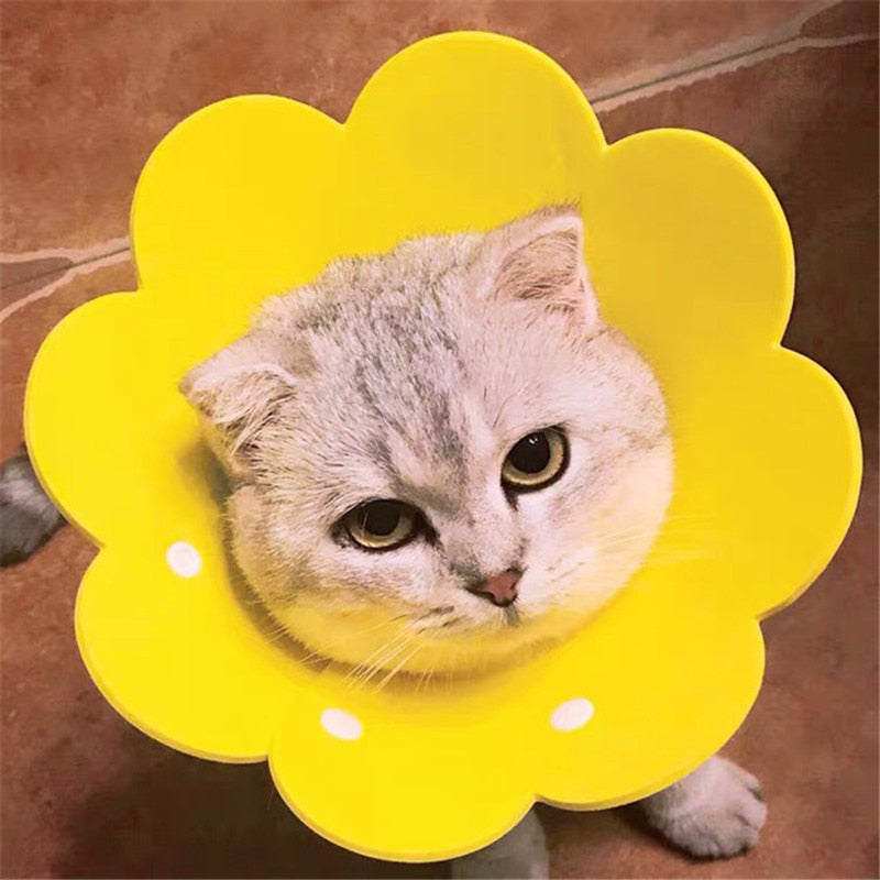 Felt Cat Collar Elizabeth Circle Cat Sun Flower Collar Felt Pet Products Anti-Licking Cat Collar Chihuahua Luxury Dog Collar