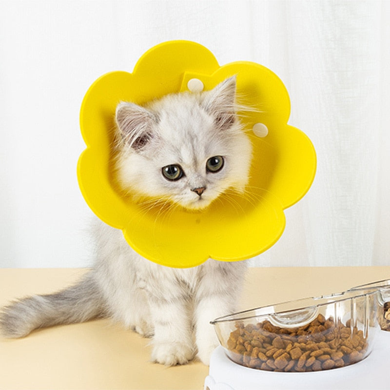 Felt Cat Collar Elizabeth Circle Cat Sun Flower Collar Felt Pet Products Anti-Licking Cat Collar Chihuahua Luxury Dog Collar