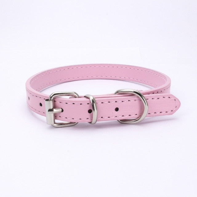 Pet Supplies Dog Collar Alloy Buckle Dog Chain Cat Necklace Size Adjustable for Small and Medium-sized Dog Collars Dog Supplies