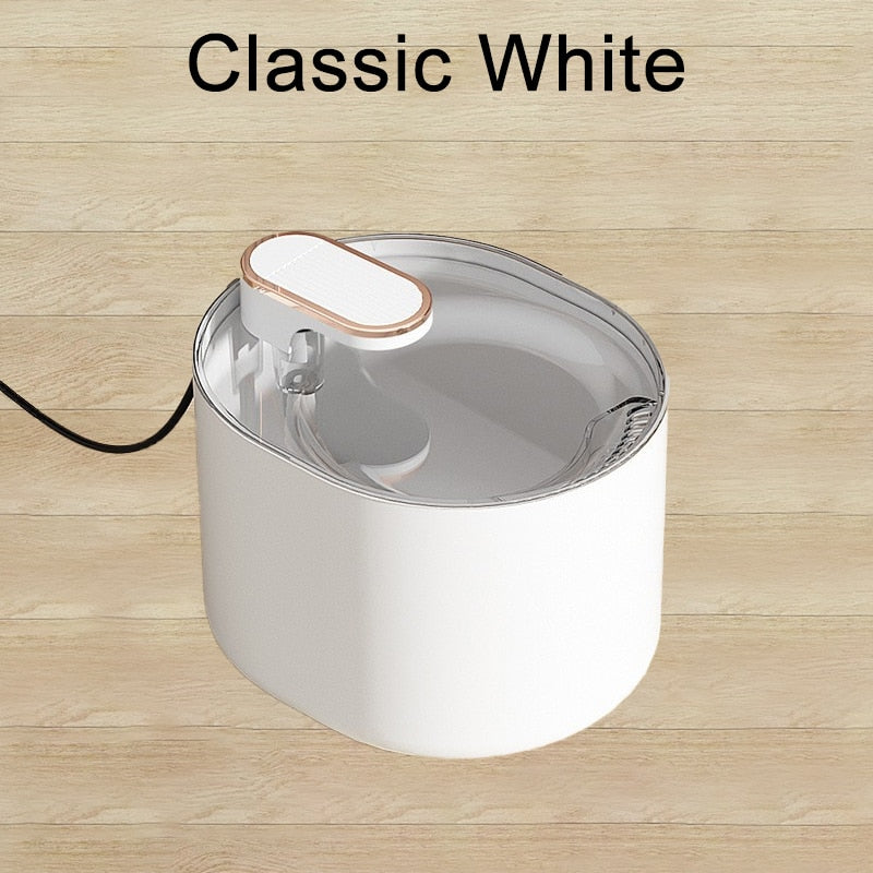 Intelligent Water Fountain