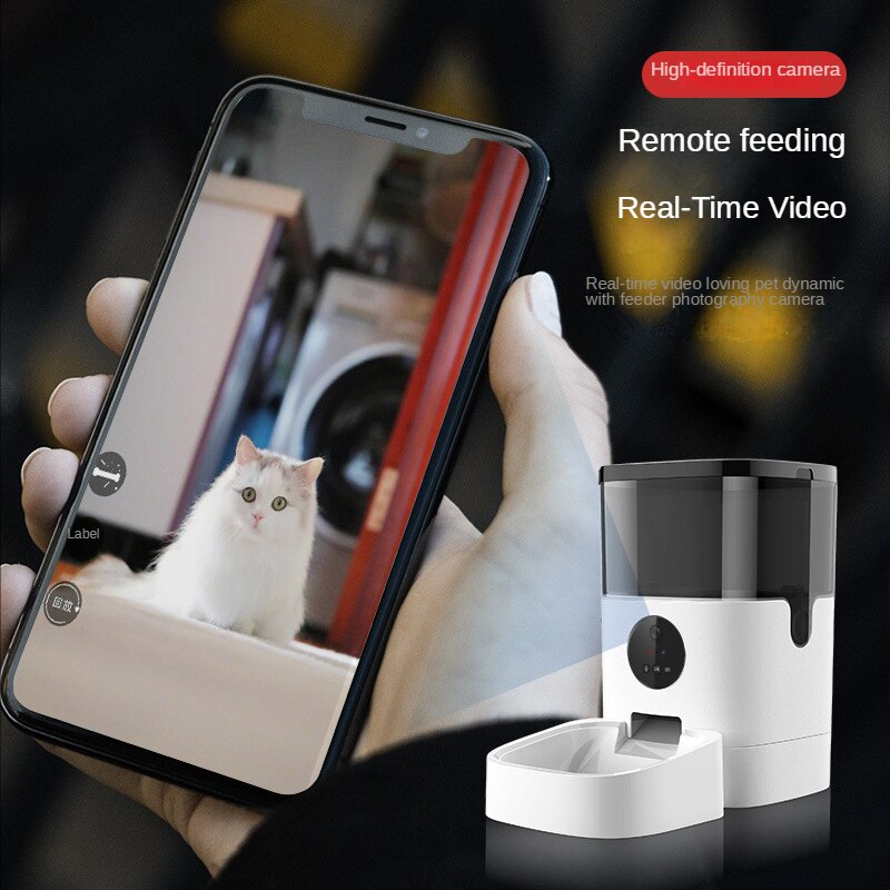 Video Multifunction Fountain With Sensor