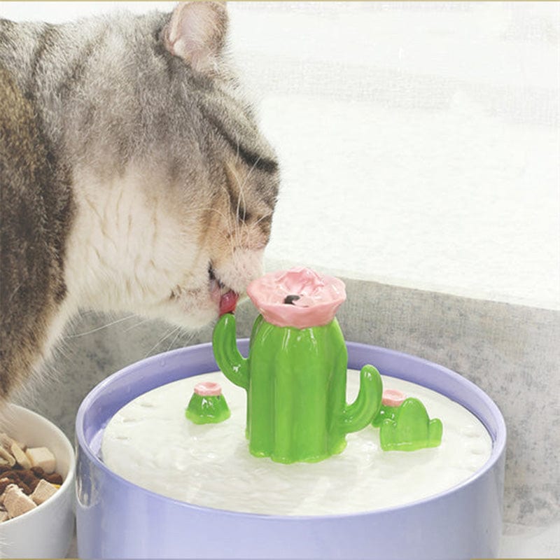 Cactus Shaped Water Fountain
