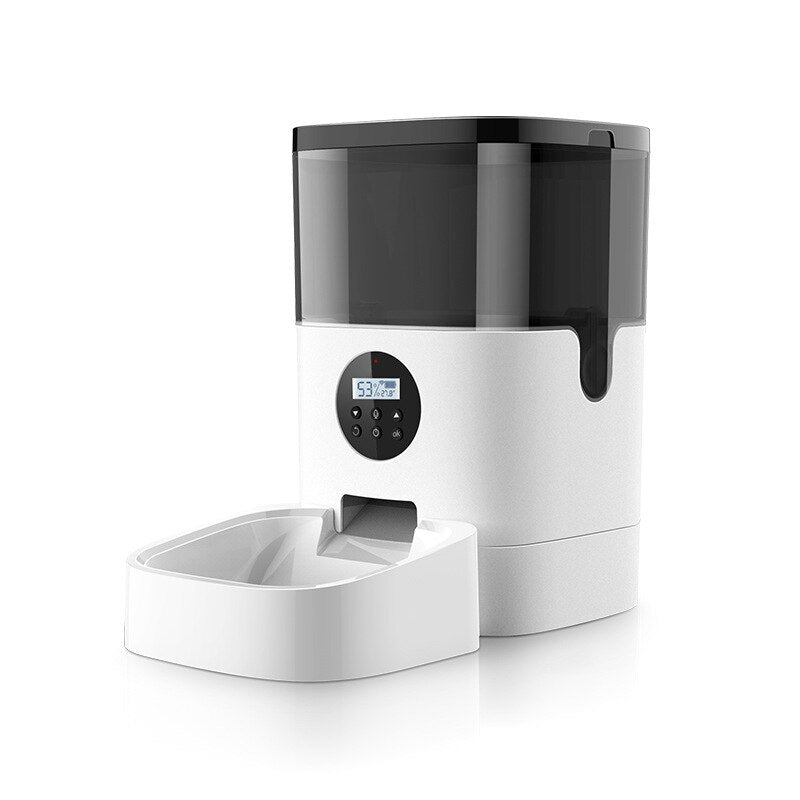 Video Multifunction Fountain With Sensor
