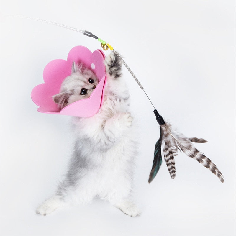 Felt Cat Collar Elizabeth Circle Cat Sun Flower Collar Felt Pet Products Anti-Licking Cat Collar Chihuahua Luxury Dog Collar