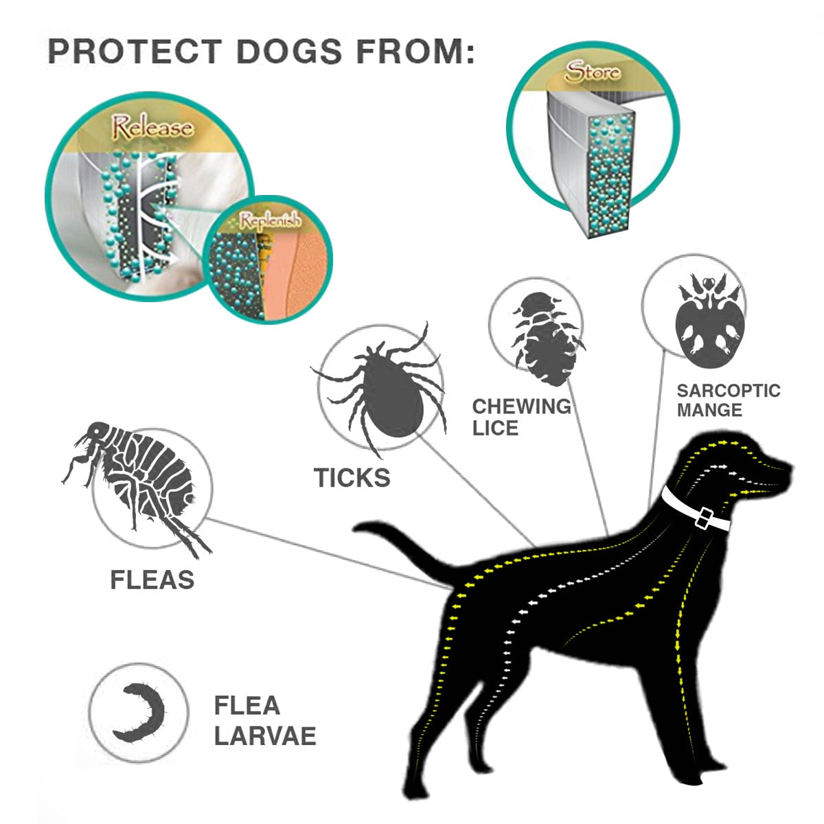 38/62CM Dog Collar Flea Tick Prevention Pet Cat Dog Collar 8 Month Flea and Tick Collar for Small Dog Adjustable Cat Dog Collar