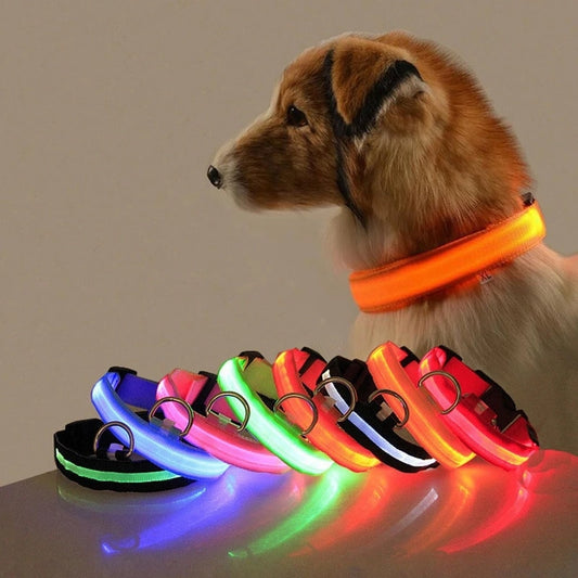 USB Charging  LED Dog Collar,Night Safety Flashing Glow In The Dark Dog Leash,Dogs Fluorescent Collars Pet Supplies