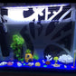11pcs/set Sponges Figure Bobs Patrick Star Toys Cartoon Action Figure Kids Xmas Gift Fish Tank Micro Landscape Decor Aquarium