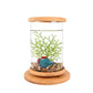 1PCS Mini Glass Fish Tank Bamboo Base Fish Tank Decoration Rotate Decoration Fish Bowl Ecological Bottle Aquarium Accessories