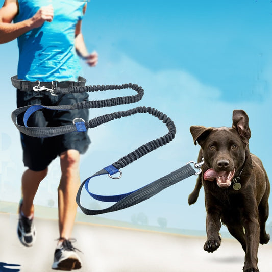 Dog Running Comfortable Leashes Dog Accessories Leash For Dogs Supplies Chiens Traction Rope Pet Items Elastic Dog Supplies