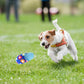 Kreatives, beißfestes Spielzeug in Schuhform für Katzen und Hunde