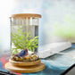 1PCS Mini Glass Fish Tank Bamboo Base Fish Tank Decoration Rotate Decoration Fish Bowl Ecological Bottle Aquarium Accessories