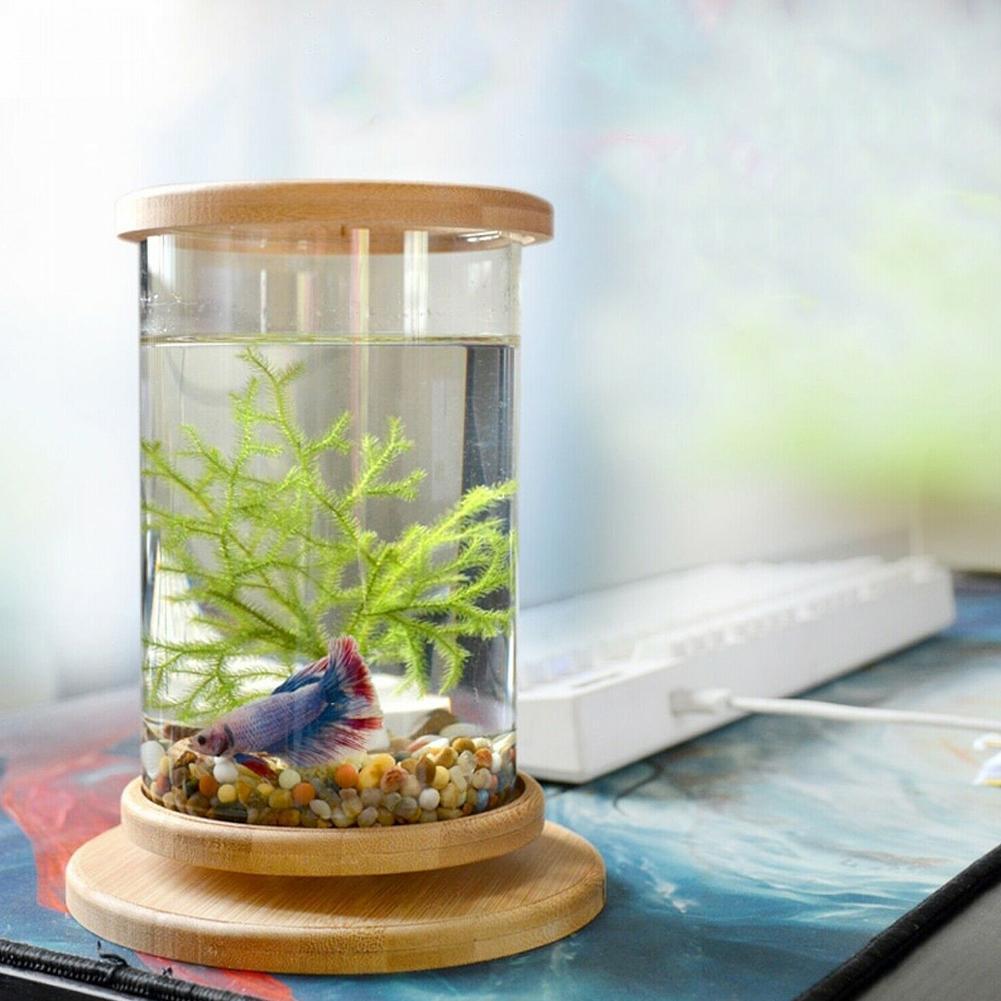 1 STÜCKE Mini Glas Aquarium Bambus Basis Aquarium Dekoration Drehen Dekoration Fisch Schüssel Ökologische Flasche Aquarium Zubehör