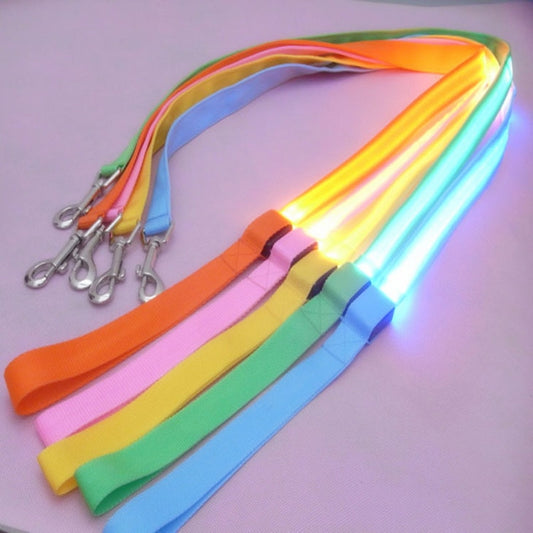 Nylon LED Light Up Dog Leash Night Safety LED Flashing Glow In Dark Dog Collar Pet Supplies Cat Drawing Small Lead LED Dog Leash