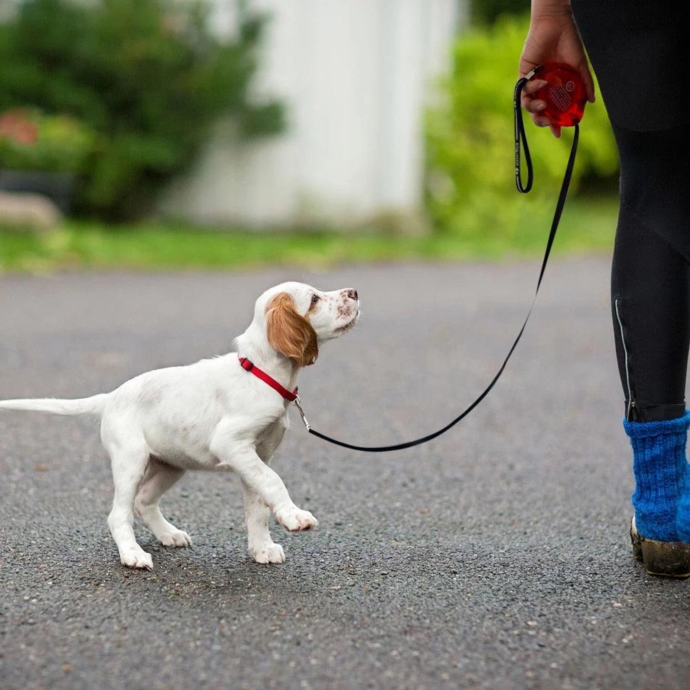 3M einziehbare Hundeleine für kleine Hunde, automatisch, 3 m, Hunde-/Katzenleine, Gürtel, ausziehbare Hundeleine für kleine Hunde, Welpen, Chihuahua, Haustierprodukt