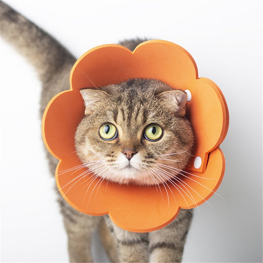 Felt Cat Collar Elizabeth Circle Cat Sun Flower Collar Felt Pet Products Anti-Licking Cat Collar  Chihuahua  Luxury Dog Collar