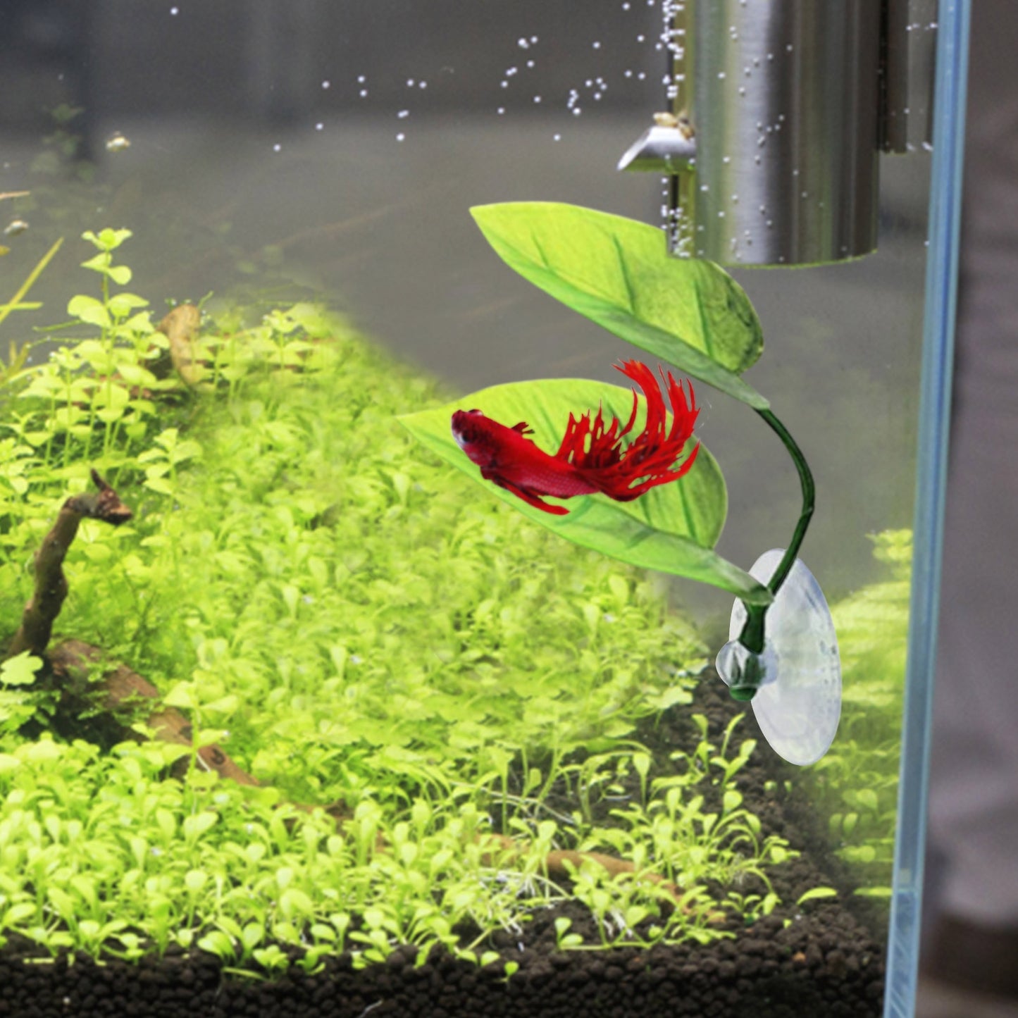 Aquarium Accessories Fish Tank Betta Leaf Fish Bed Fish Rest Spawning Leaf Aquatic Artificial Plant Hammock Simulation Landscape
