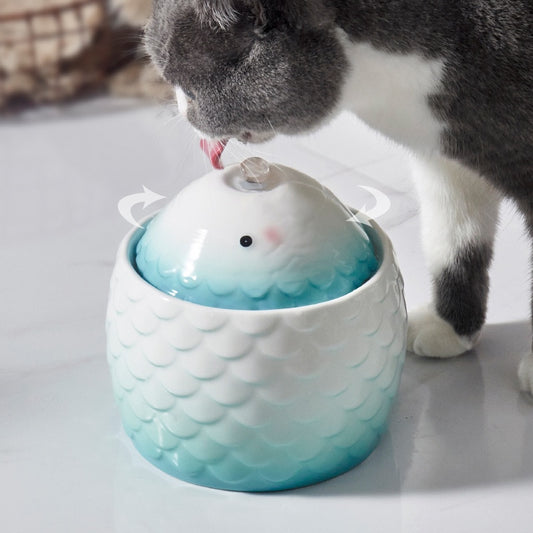 Automatic cat Water Fountain Fish Design