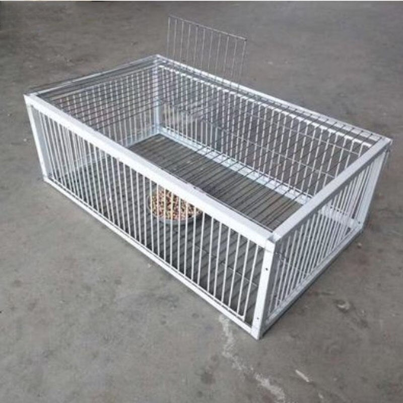 Big Foldable Galvanised Pigeon Bird Trap Cage Feral Pigeon humane way with the one-way entrance Trapping Pigeons doves In Cages