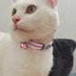 Reflective Cat Collar Engraved Safe Cats Kitten Collars with Bell Puppy Pet Necklace Accessories for Cat Small Dog Chihuahua