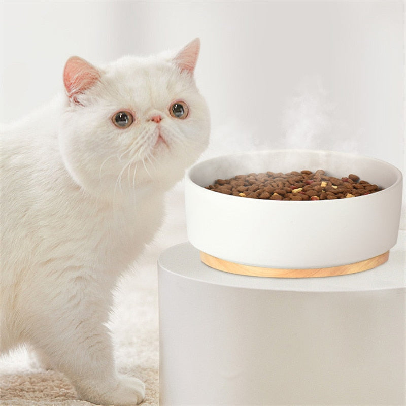 Cat Water Dispenser Automatic Pet Bowl Ceramics Home Decor Pet Heating Bowl Winter Warm Cat Water Bowls Auto Power-off Dog Bowl