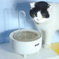 Automatic Circulation Water Fountain with USB for Cats And Dogs