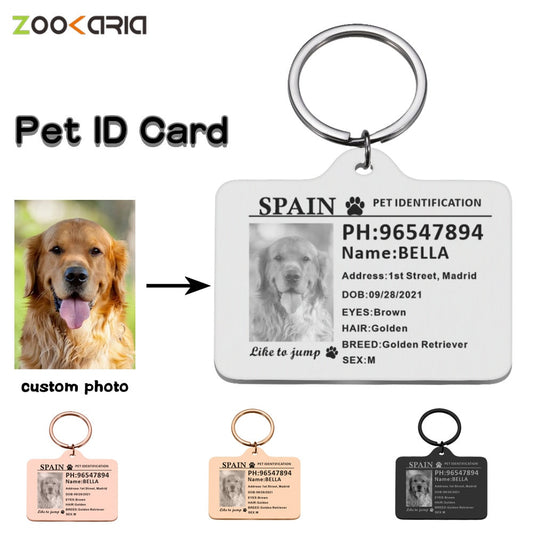 Personalized Dog ID Tag Custom Pet ID Card Identification Anti-lost Dog Cat Information Collar Stainless Steel for Puppy Plate