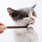 Catnip naturale pura calda Giocattolo per gatti Tuta di sicurezza Dentifricio per molari Ramo Pulizia dei denti Snack per gatti Silvervine Bastoncini Forniture per animali domestici