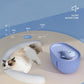 Automatic Water Fountain
