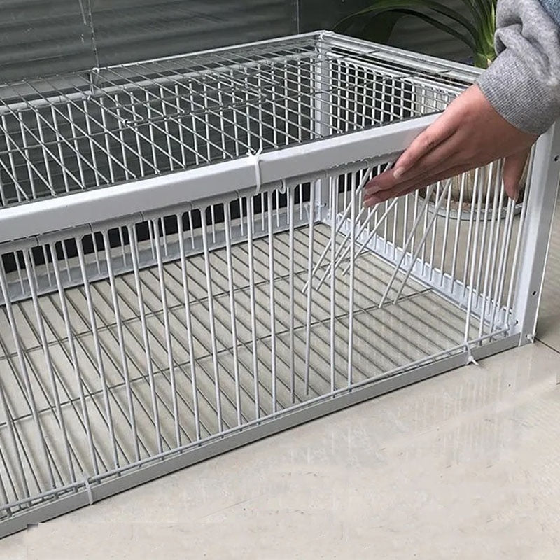 Big Foldable Galvanised Pigeon Bird Trap Cage Feral Pigeon humane way with the one-way entrance Trapping Pigeons doves In Cages