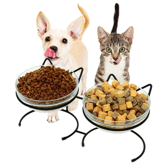 Double Glass Bowl with Stand for Cats And Small Dogs